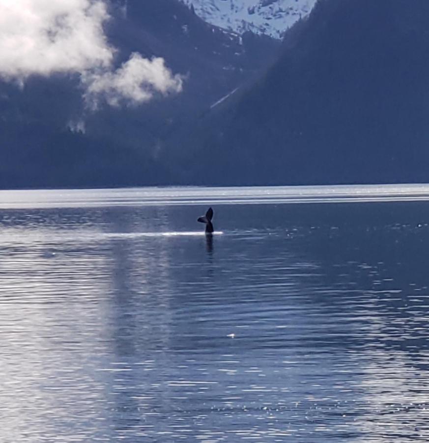 Resurrection Lodge On The Bay Seward Luaran gambar